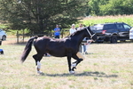 WJ6_4873