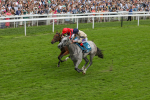 270724-Race 4-Greydreambeliever-4714