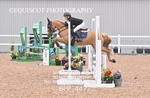 BPP_4477