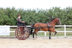 SBM_000740