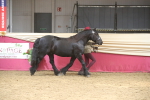 SBM_05499