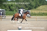 CLASS 25 My Quest Open Novice Test 1 portfolio
