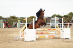 SBM_005047