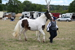 WJ6_5318