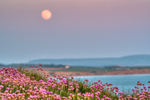 z3061 Moonrise over Compton Bay