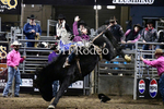 Reigns Provost_DSC2066
