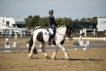 SBM_004173
