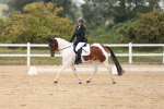 SBM_01475