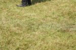 SBM_07654