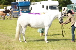 SBM_01636