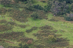 Arnison Crag-24