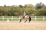 SBM_002815
