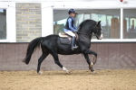 SBM_003269