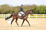 SBM_008040