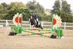 SBM_001987