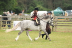 Class 74-75 - M&M Lead Rein and First Ridden Pony portfolio