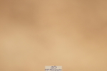 240317A-115248-05758