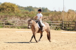 SBM_010628