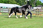 SBM_10098