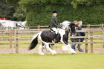 SBM_06176