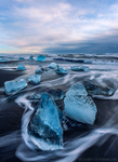 Luminous Coast
