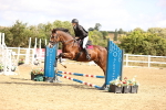 SBM_006493