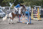 North Showjumping_2016-91