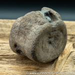 Sold vert194 Plesiosaur sp vertebrea