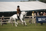 SBM_09164
