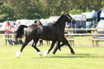 SBM_02268