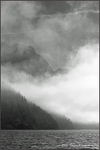 Landscapes portfolio
