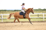 SBM_002643