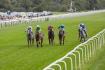 240824-Race 3-Breege-8955