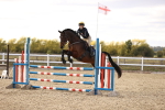 SBM_003991