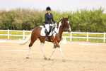 SBM_007334