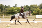SBM_002743