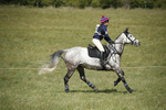 BVHT 140517  IXC -116