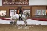BPP_2290