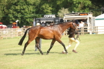 SBM_10418