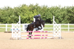 SBM_001018