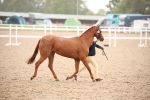 SBM_20119