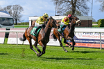 180426-Race 2-Inishbeg-9419