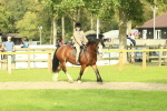 SBM_69046