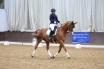 SBM_002350