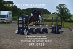 BPP_0731