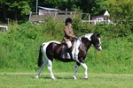 3E7A8626