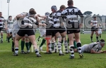Rugby_Guernsey v Sutton  Epsom-3