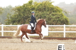 SBM_001141
