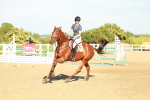 SBM_003208