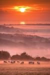 z3586 Sunrise view from Nunwell Down